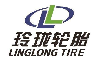 软件开发商品牌标识,彩色渐变设计,编程代码图案,数字科技风格